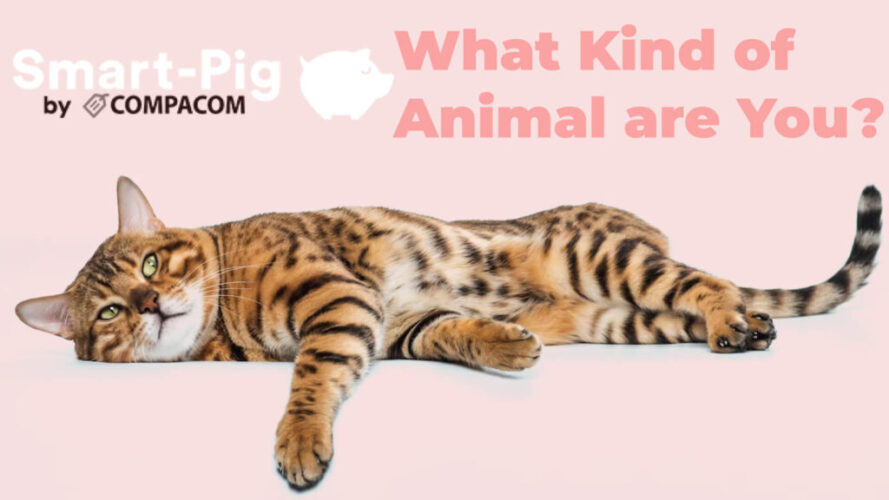 Take This Quick Test to Find Out Which Animal Represents Your Personality!